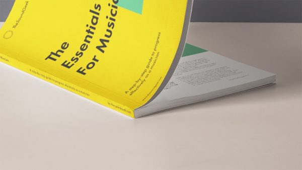 The Essentials for Musicians essentials for musicians